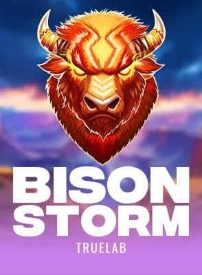 Bison Storm