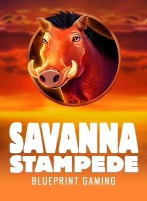 Savanna Stampede