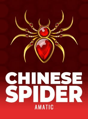 Chinese Spider