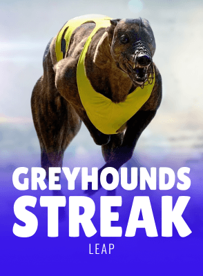 Greyhound Streak