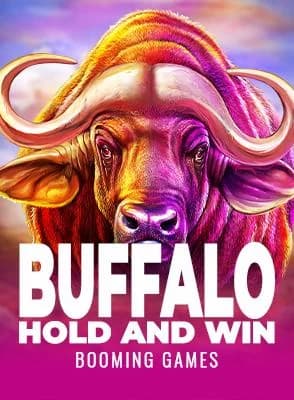 Buffalo Hold and Win