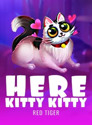 Here Kitty Kitty