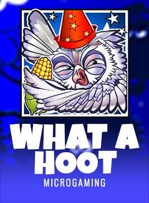 What A Hoot