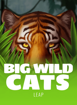 Big Wild Cats
