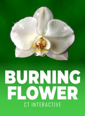 Burning Flower