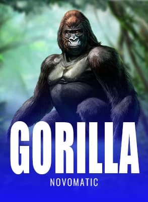 Gorilla