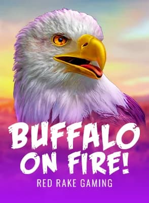 Buffalo on fire!